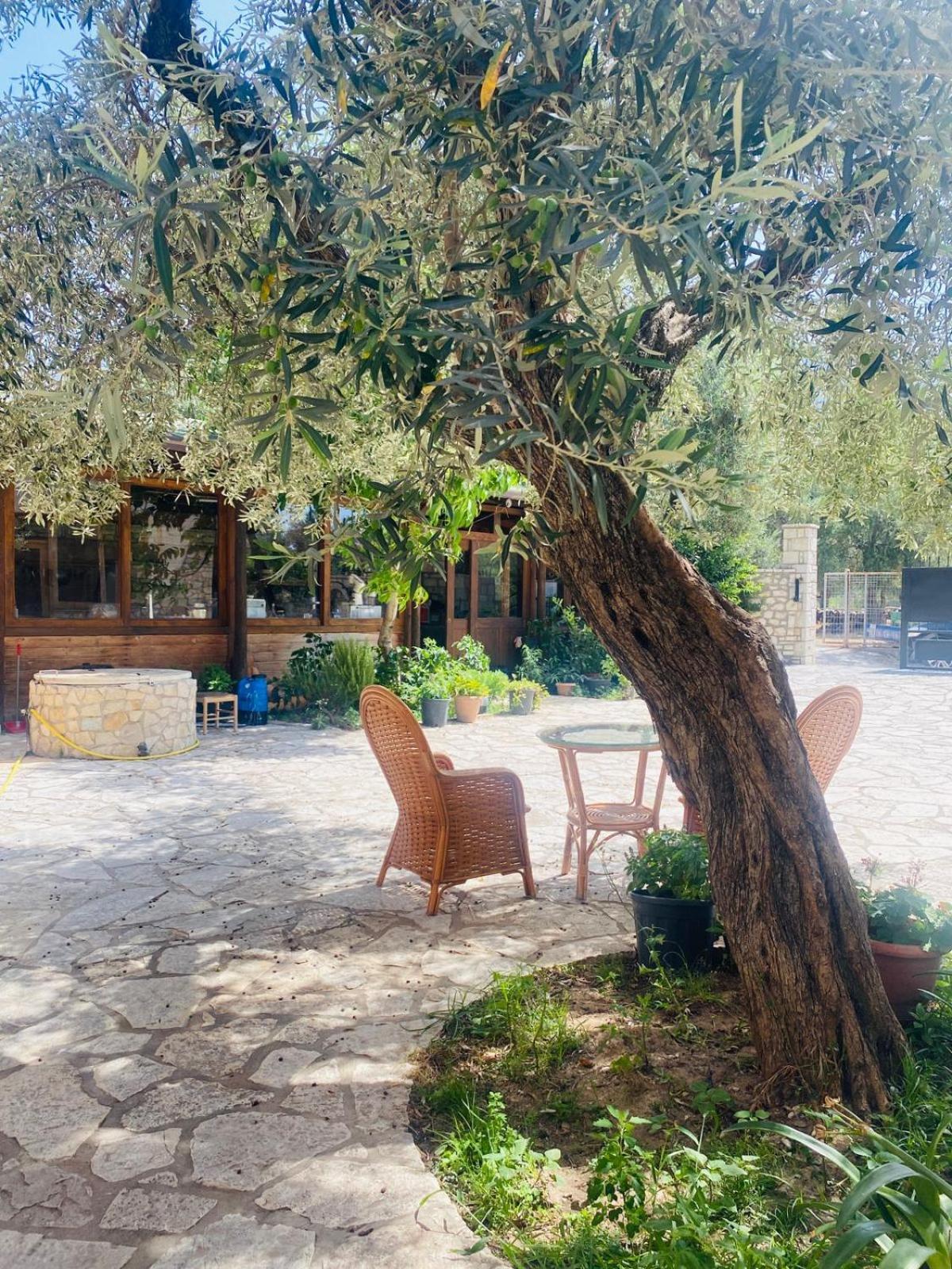 Irini'S Guesthouse Qeparo Exterior photo