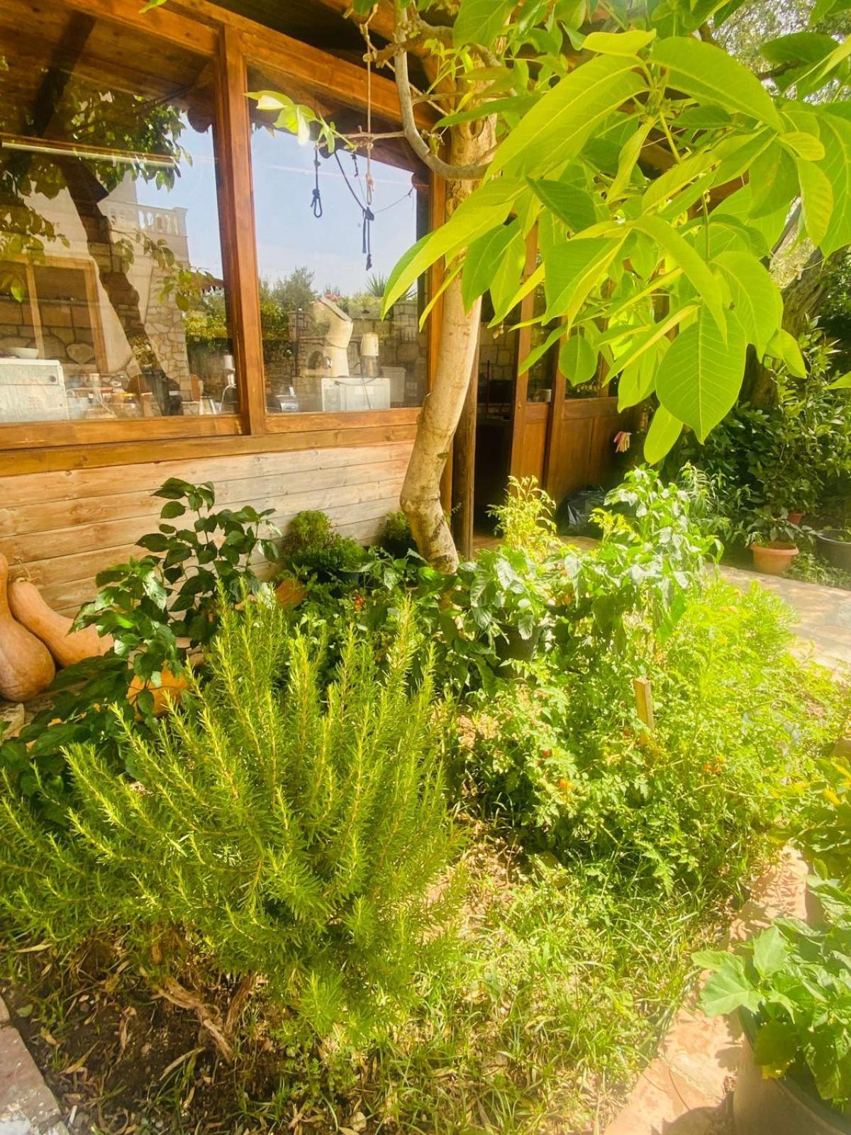 Irini'S Guesthouse Qeparo Exterior photo